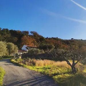 A Casa Di Natalia , Castell'Umberto Italia